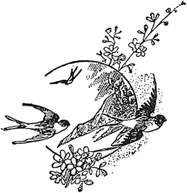 В стране контрастов - i_085.png