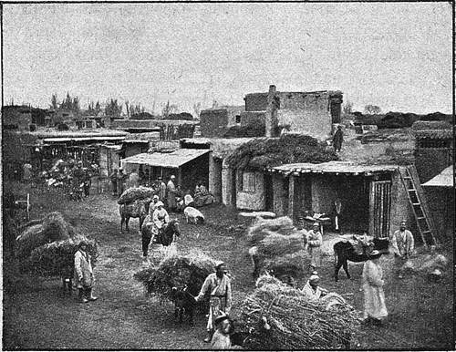 В стране контрастов - i_088.jpg