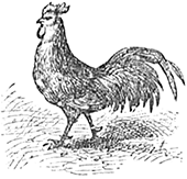 Русские сказки для детей казака Луганского - i_009.png
