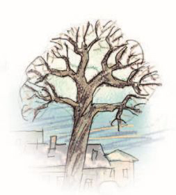 Лучшие рассказы - i_017.jpg