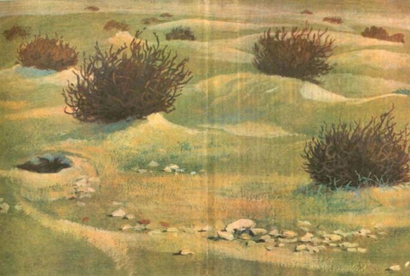 Похождения хитрого Соленопсиса<br />(Рассказы) - i_024.jpg