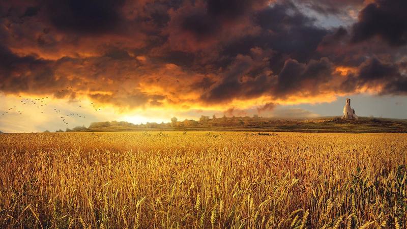 Неживой (СИ) - i_023.jpg