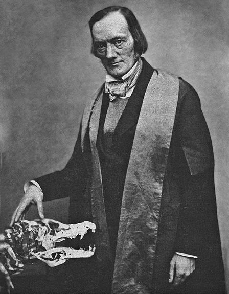 Происхождение личности и интеллекта человека. Опыт обобщения данных классической нейрофизиологии - i_013.jpg