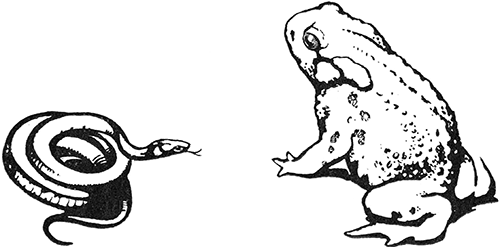 Желтоухий<br />(Рассказ) - i_002.png