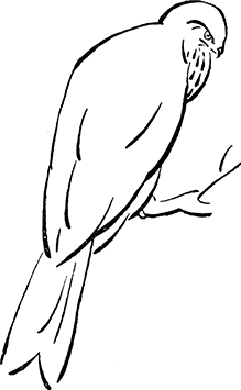 Желтоухий<br />(Рассказ) - i_003.png