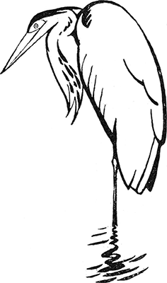 Желтоухий<br />(Рассказ) - i_004.png