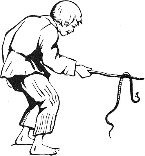 Желтоухий<br />(Рассказ) - i_005.png