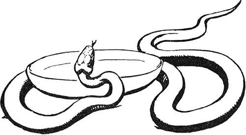 Желтоухий<br />(Рассказ) - i_008.png