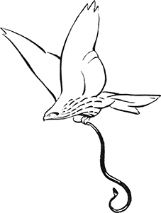 Желтоухий<br />(Рассказ) - i_009.png