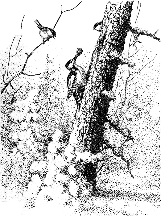 Пестрый и Черный<br />(Рассказы) - i_002.png