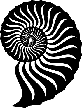 Чуткое ухо. Что может рассказать о вашем здоровье ушная раковина - i_001.png