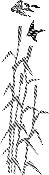 Звено принимает решение<br />(Рассказы) - i_014.png