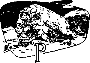 Сборник "Лучшее". Компиляция. Книги 1-9 - i_084.png