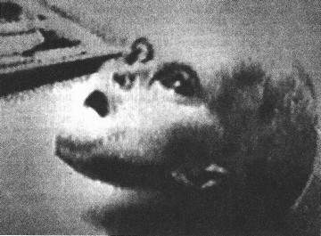 Сборник "Лучшее". Компиляция. Книги 1-9 - i_098.jpg