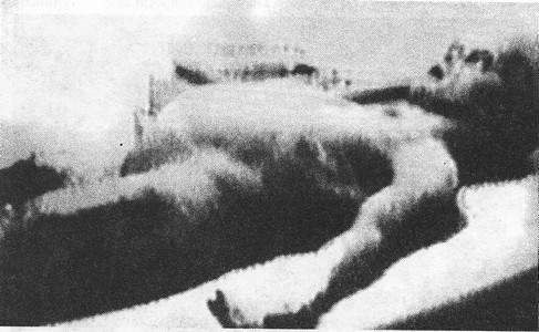 Сборник "Лучшее". Компиляция. Книги 1-9 - i_099.jpg