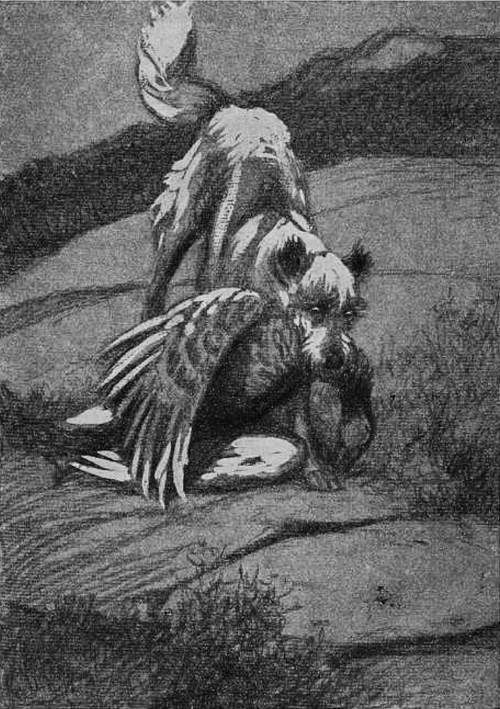 Воспоминания собаки Мускуби<br />(Рассказ) - i_005.jpg