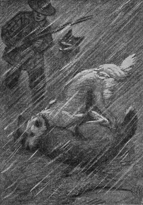 Воспоминания собаки Мускуби<br />(Рассказ) - i_007.jpg