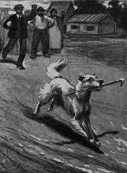 Воспоминания собаки Мускуби<br />(Рассказ) - i_008.jpg