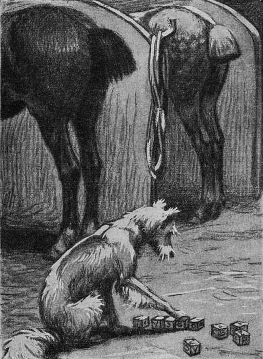 Воспоминания собаки Мускуби<br />(Рассказ) - i_009.jpg