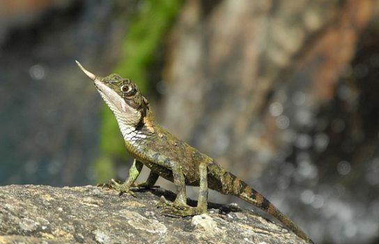 Страна Восходящего солнца (СИ) - _16.jpg