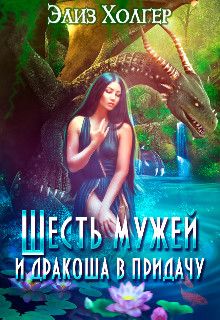 Книга Шесть мужей и дракоша в придачу. Часть 2 (СИ)