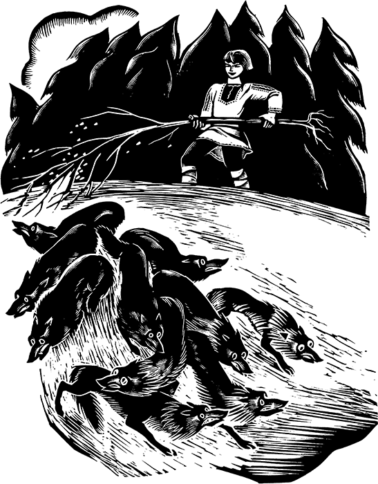 Марийские народные сказки - i_021.png