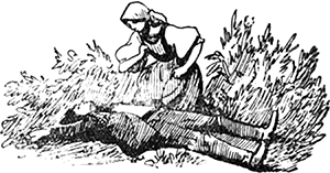 Волшебная игла<br />(Сказки чешских и словацких писателей) - i_023.png