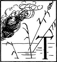 Три апельсина<br />(Итальянские народные сказки) - i_034.png