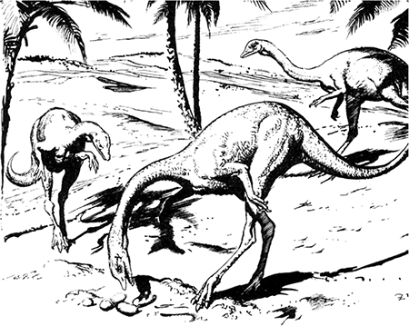 Из глубин древности - i_013.png