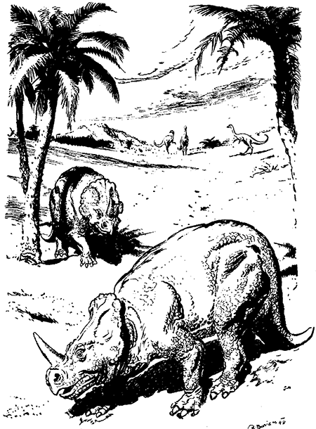 Из глубин древности - i_014.png