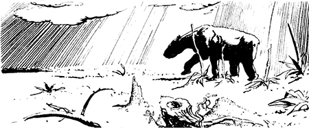 Из глубин древности - i_019.png