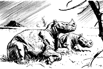 Из глубин древности - i_020.png