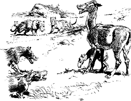 Из глубин древности - i_034.png