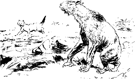 Из глубин древности - i_041.png