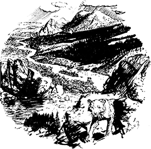 Из глубин древности - i_044.png