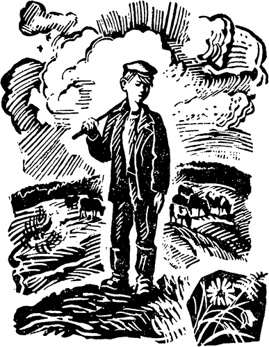 Горькие шанежки<br />(Рассказы) - i_004.png