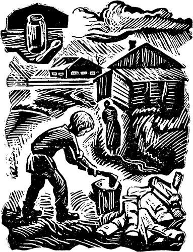 Горькие шанежки<br />(Рассказы) - i_013.png