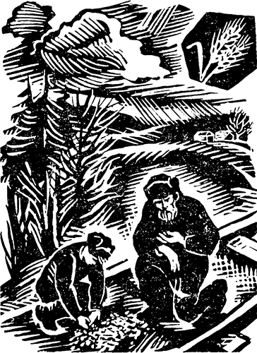 Горькие шанежки<br />(Рассказы) - i_016.png