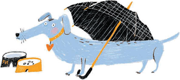 Волки на парашютах - i_008.jpg