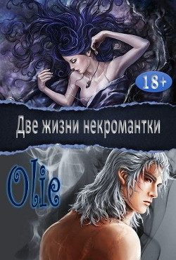 Книга Две жизни некромантки (СИ)