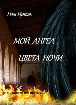 Книга Мой ангел цвета ночи (СИ)
