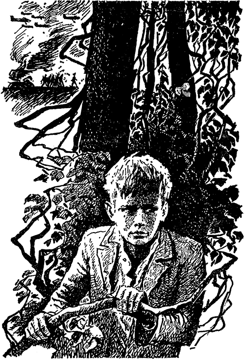 Повесть о красном галстуке - i_002.png