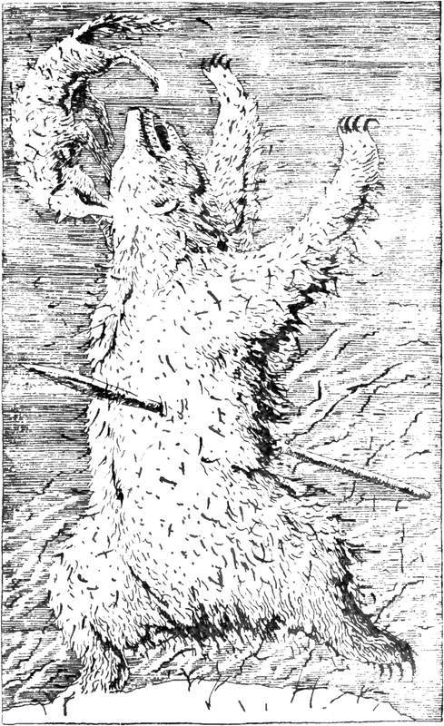 Пещеры Красной реки. Листы каменной книги<br />(Исторические повести) - i_006.jpg