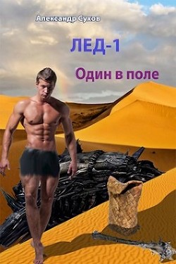 Книга Один в поле (СИ)