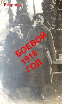 Книга Боевой 1918 год (СИ)