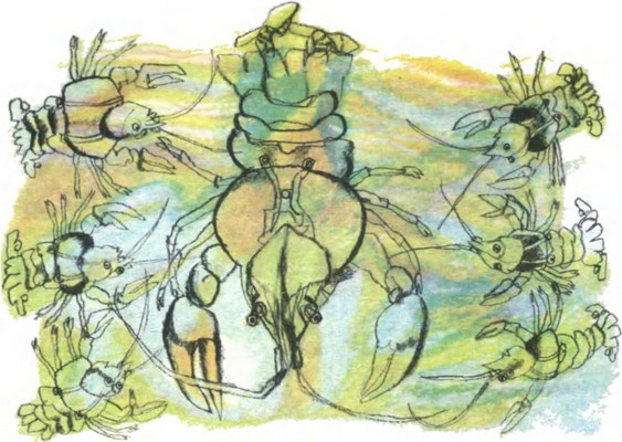 Болгарские народные сказки. Том 1 - i_088.jpg