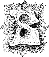 Тарантас (Путевые впечатления) - i_005.png