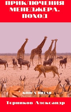 Читать онлайн книгу Приключения менеджера. Поход (СИ) автор Терников Александр Николаевич Книга Приключения менеджера. Поход (СИ)