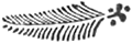 Польские народные легенды и сказки - i_007.png