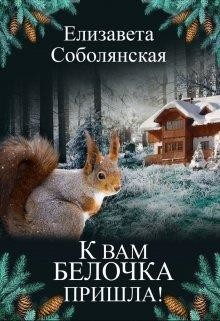 Книга К вам белочка пришла... (СИ)